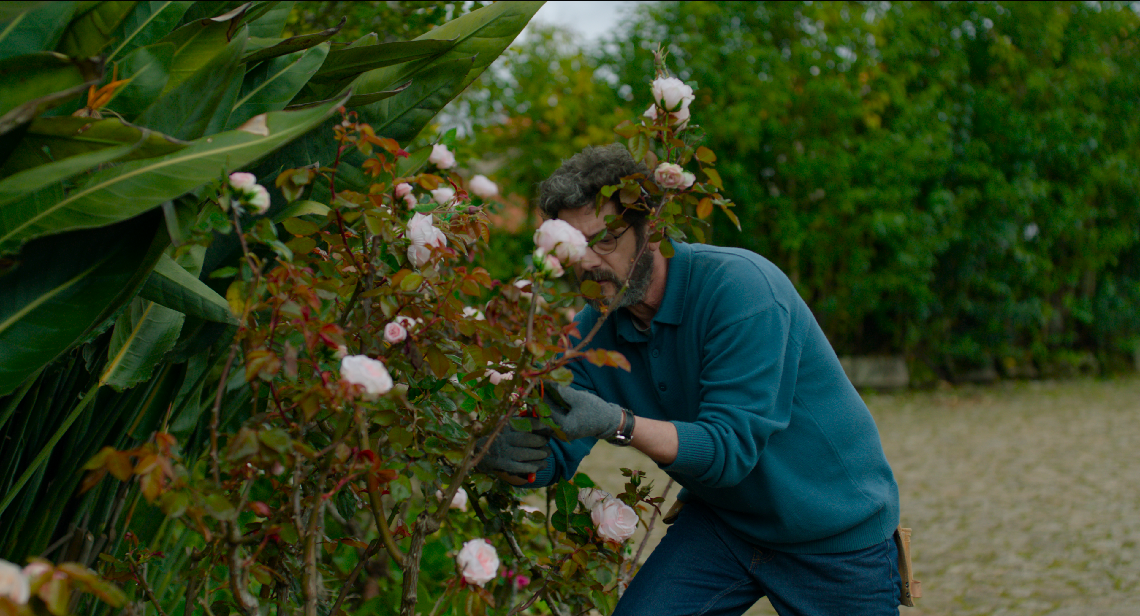 Fotograma de la pel·lícula 'Una quinta portuguesa' Fotograma de la pel·lícula 'Una quinta portuguesa'