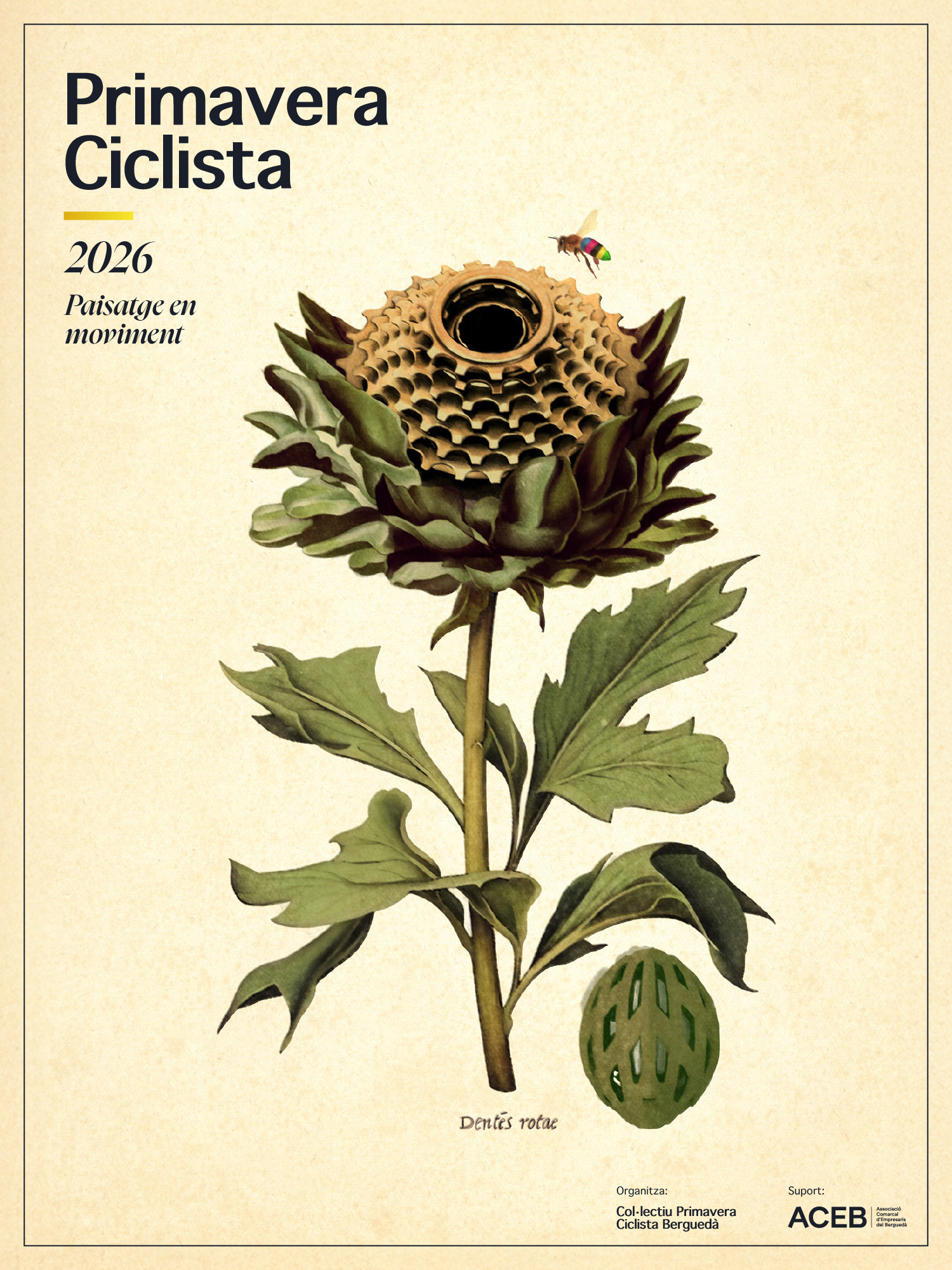 Cartell - Primavera Ciclista 2026