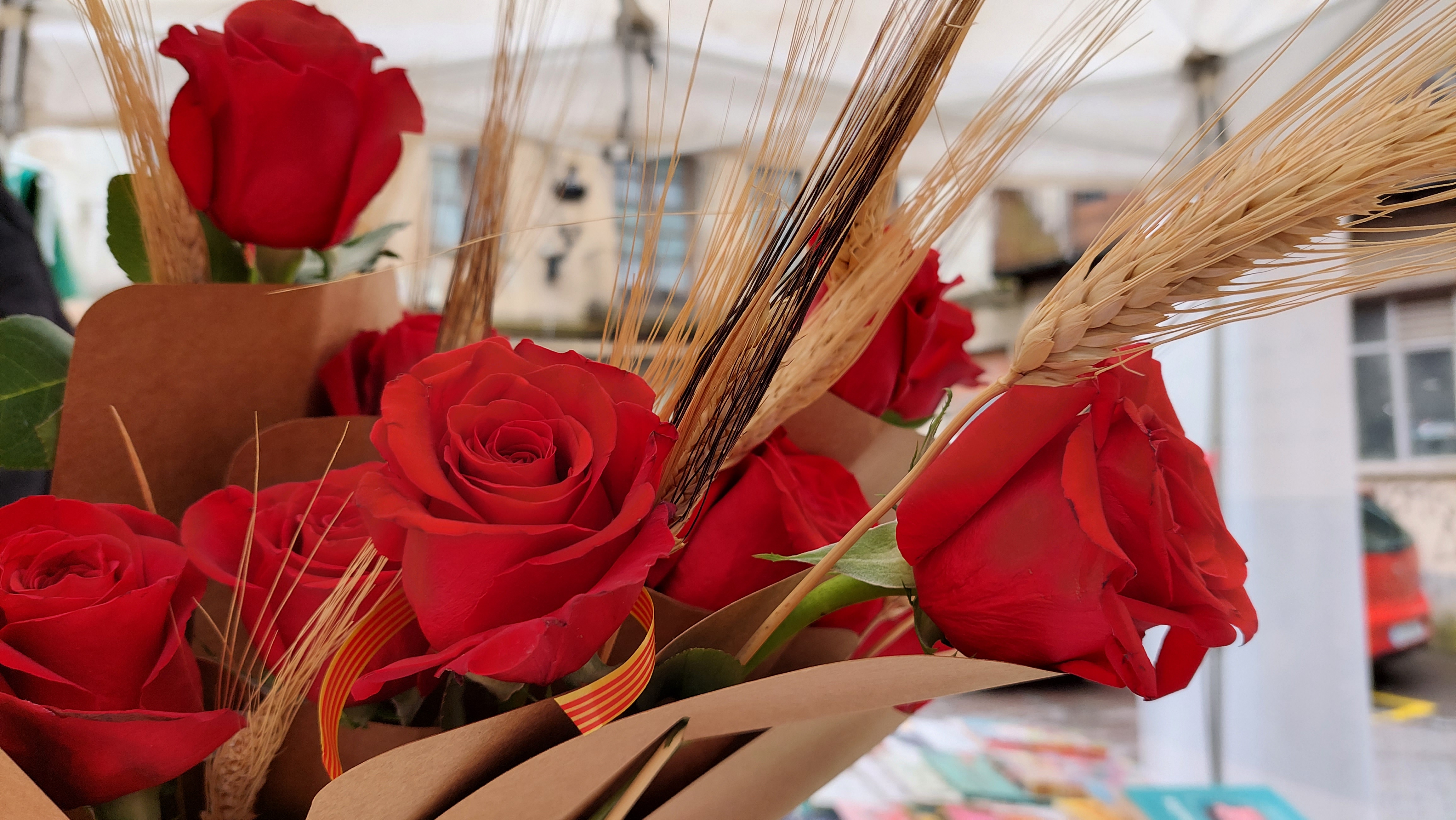 Parada de roses durant la diada de Sant Jordi de 2022 a Berga