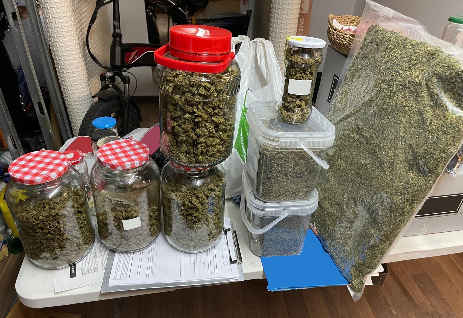Una actuació de control detecta diverses irregularitats en un local de grow shop