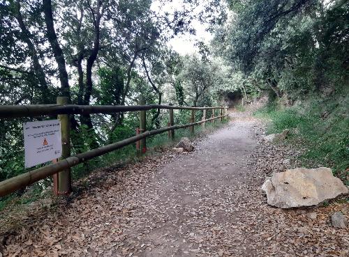 L'Ajuntament de Berga iniciarà les obres de sanejament i purga de roques als trams afectats per despreniments de la Serra de Queralt