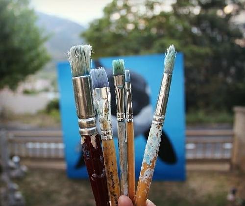 ??Art Major' acull una exposició de pintura solidària per finançar el tractament mèdic d'una nena afectada de càncer